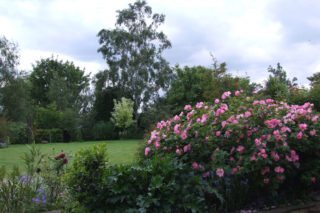 Kelling House gallery - Gallery