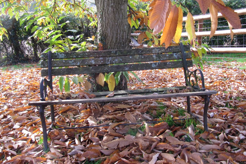 Cider Mill Cottage gallery - Gallery
