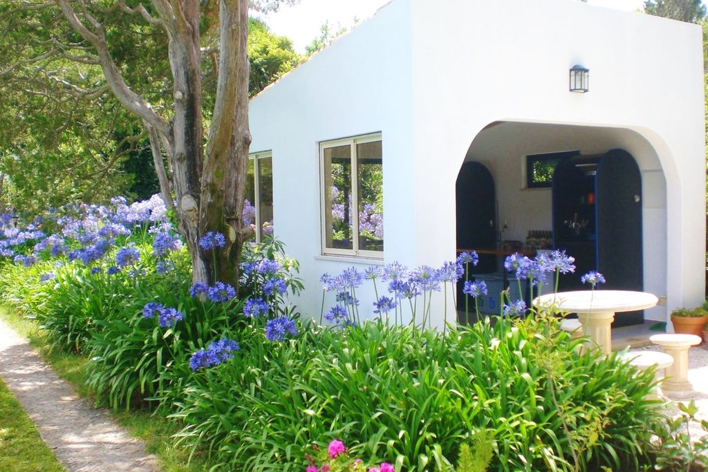 Quinta Colina Flora gallery - Gallery