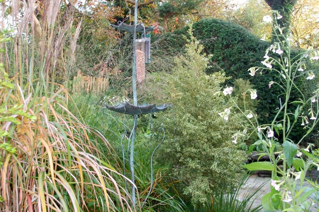 The Potting Shed gallery - Gallery