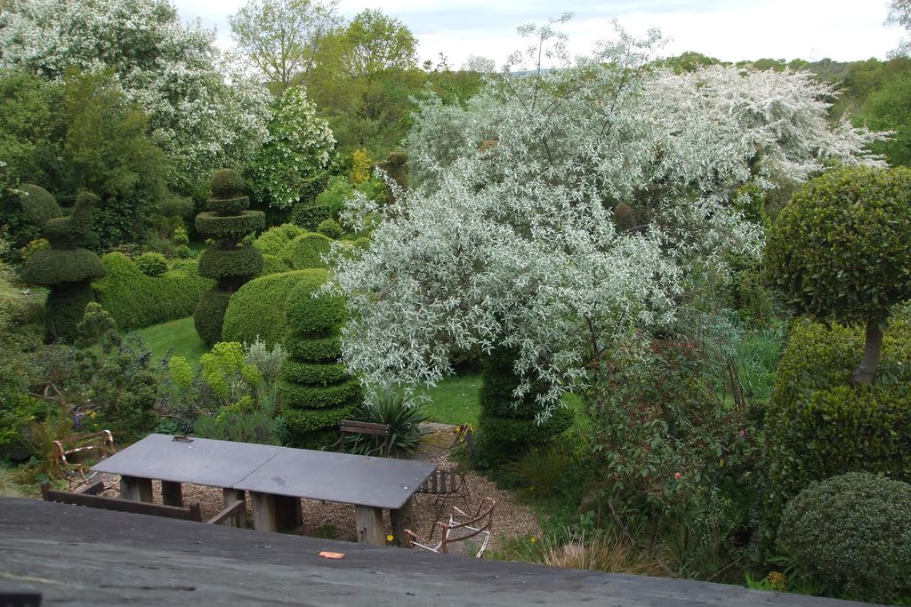 The Potting Shed gallery - Gallery