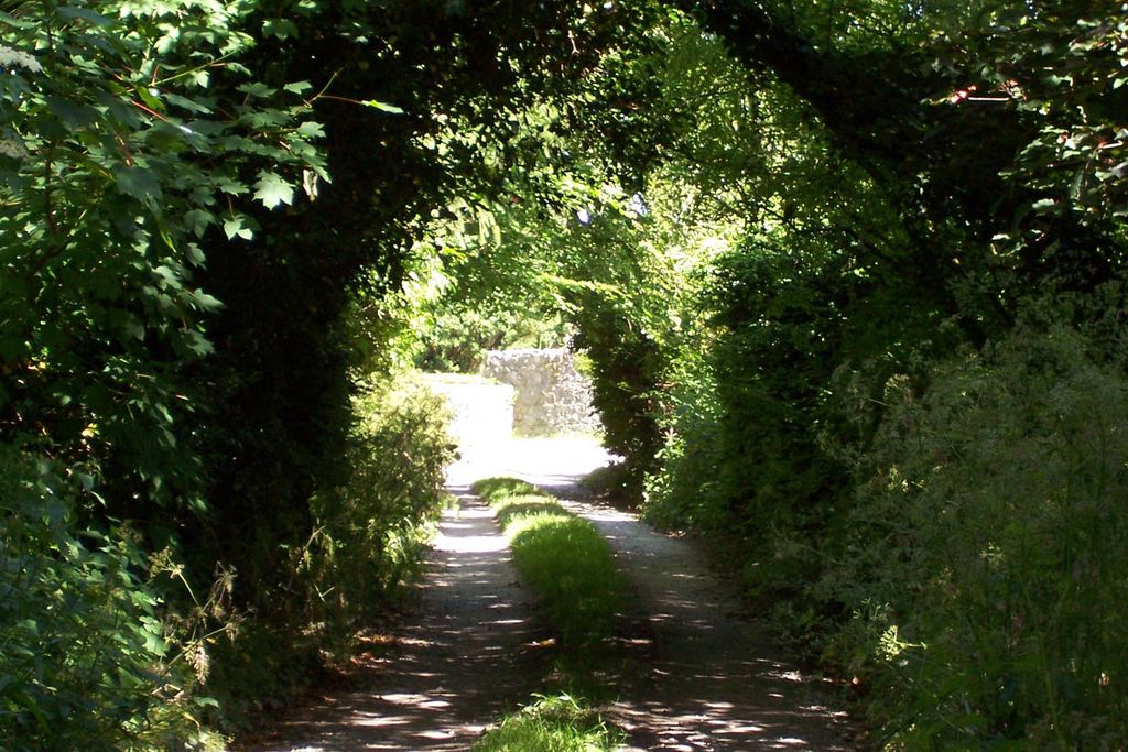 Courtyard Cottage - Gallery