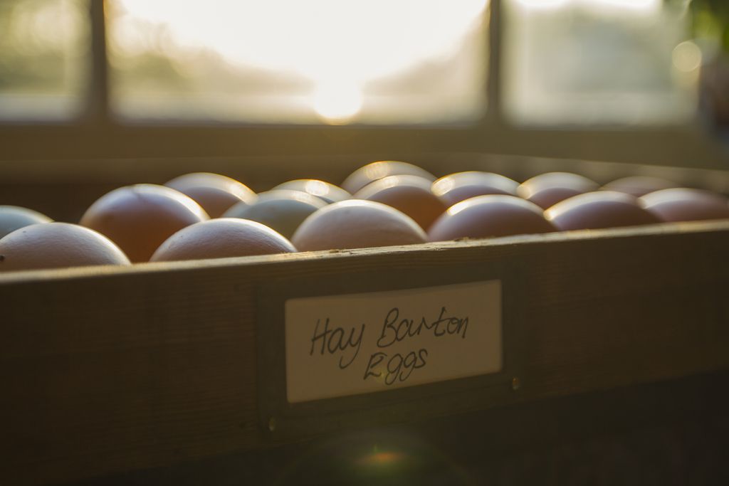 Hay Barton gallery - Gallery