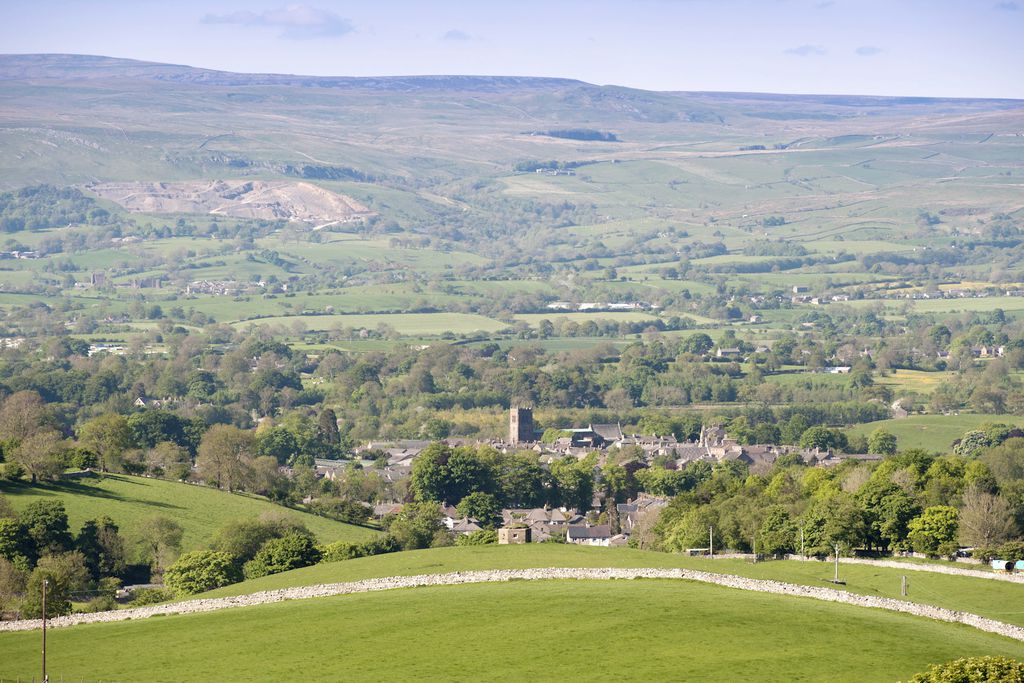 Stay Lambing Live gallery - Gallery