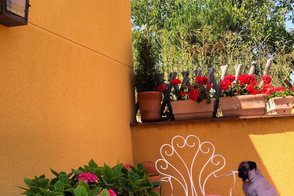 Mihotelito gallery - Gallery