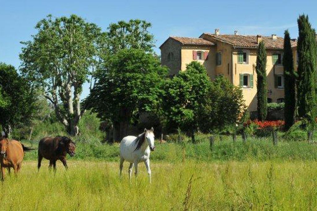 Une Campagne en Provence - Gallery