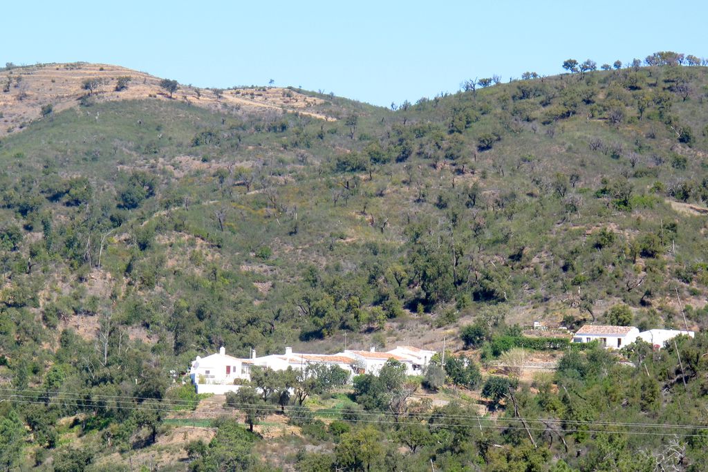 Casa Violeta gallery - Gallery