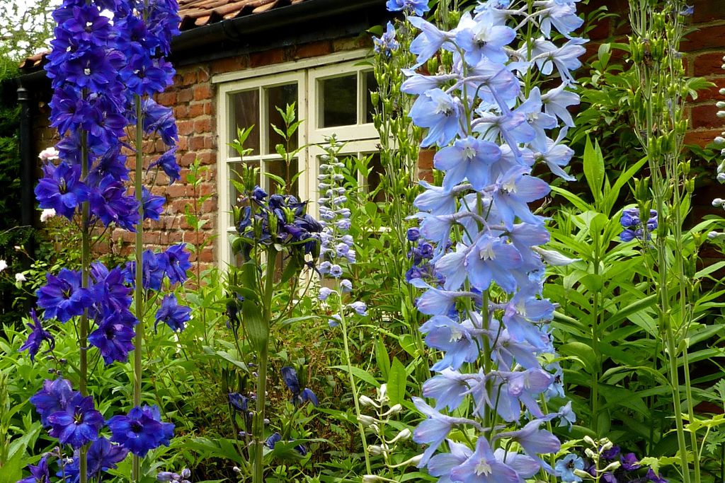 Stable Cottage gallery - Gallery