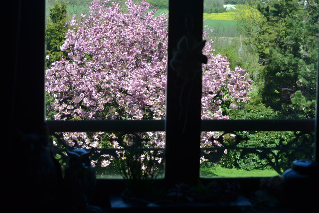 Le Manoir gallery - Gallery