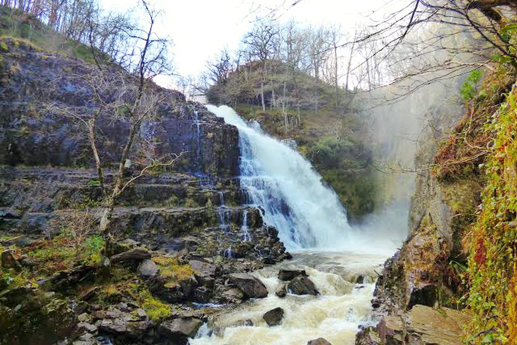 Tan y Coed gallery - Gallery