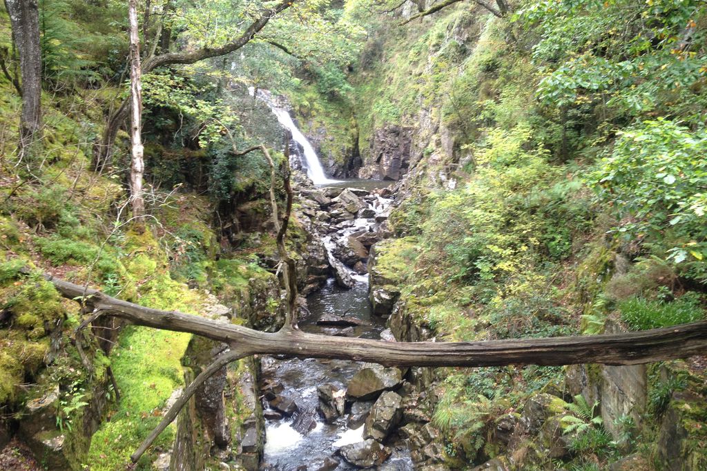 Tan y Coed gallery - Gallery