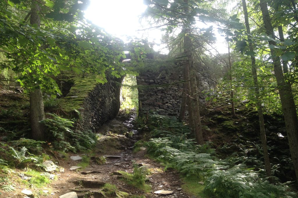Tan y Coed gallery - Gallery