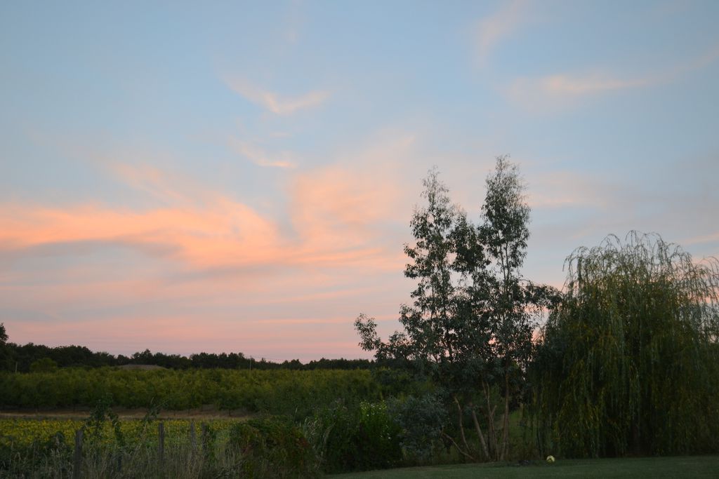 La Cachette gallery - Gallery