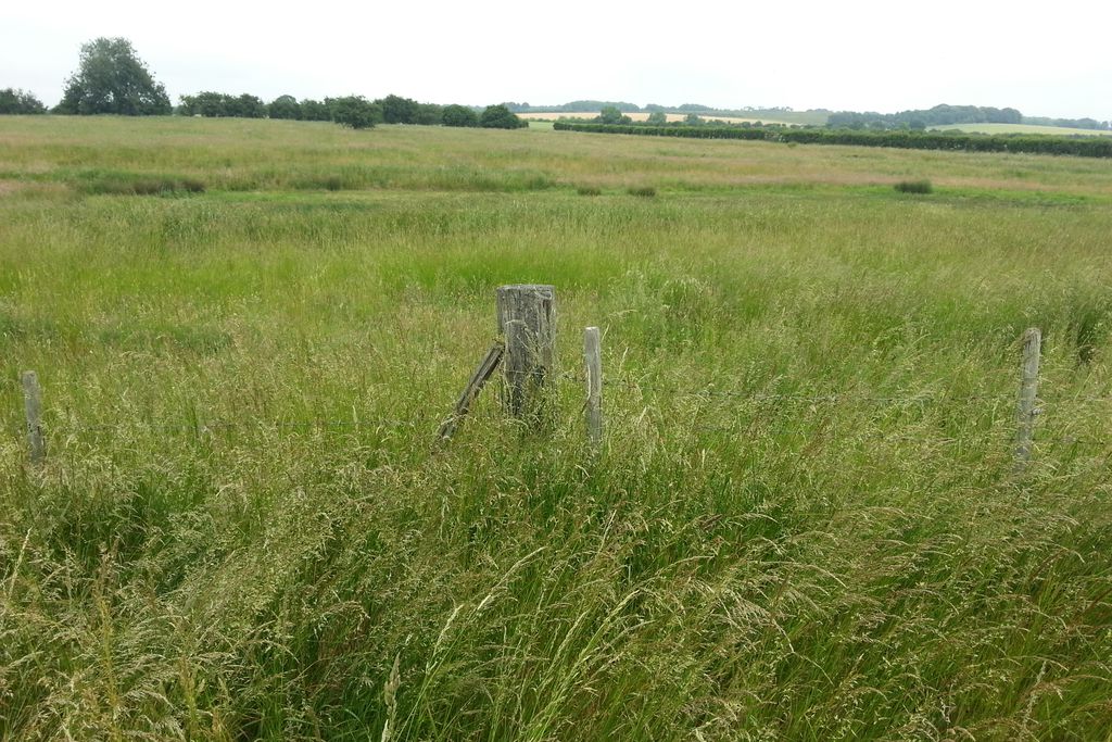 The Tack Rooms, The Stables, The Piggery gallery - Gallery