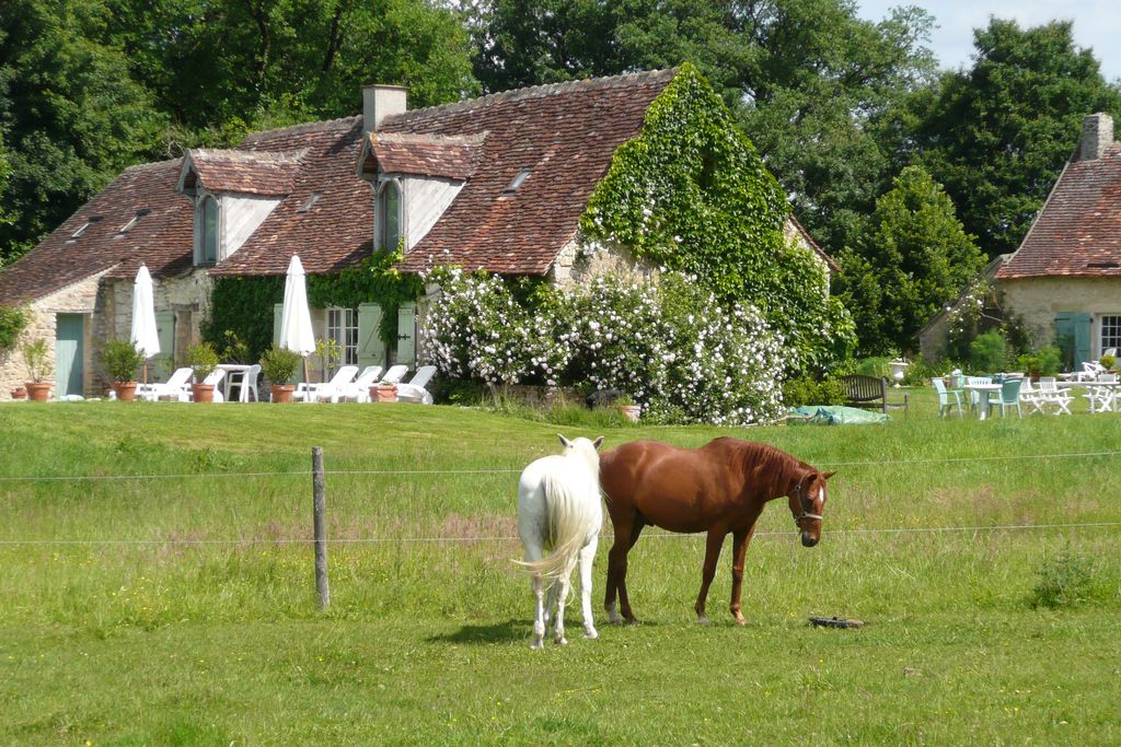 Les Rabauds - Gallery