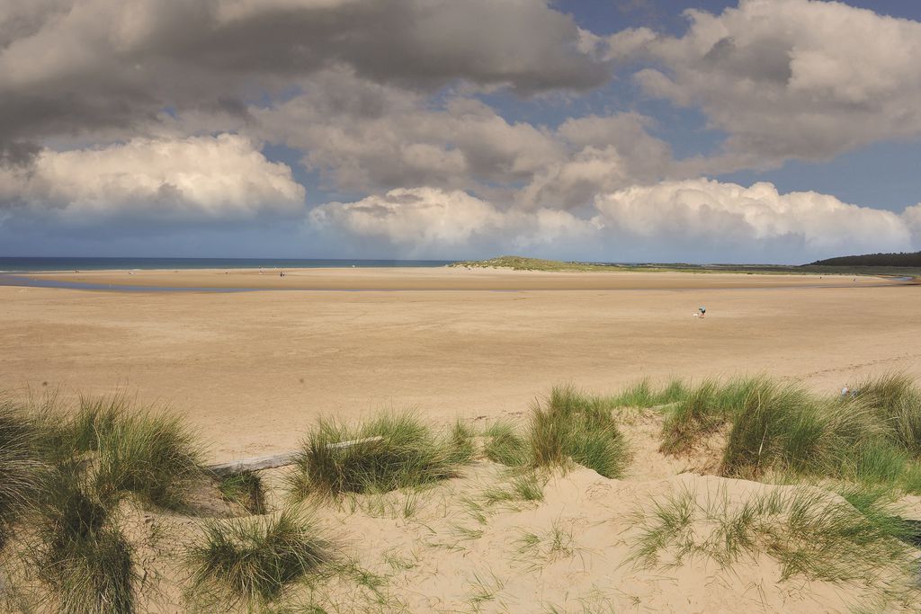 The Globe Inn at Wells-next-the-Sea gallery - Gallery