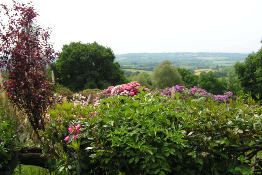 The Cottage in the Garden gallery - Gallery
