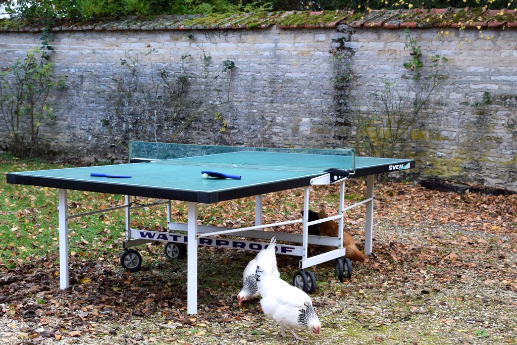 L'Ancien Domaine gallery - Gallery