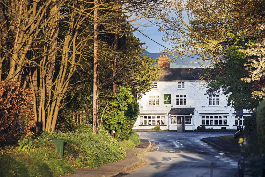 The Haughmond gallery - Gallery