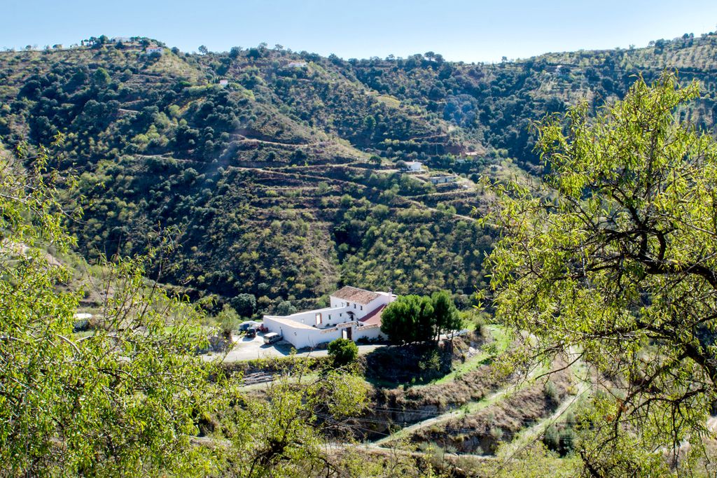 Cortijo Juan Salvador gallery - Gallery