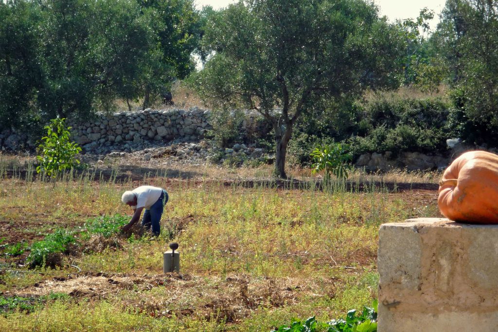 Masseria Uccio gallery - Gallery