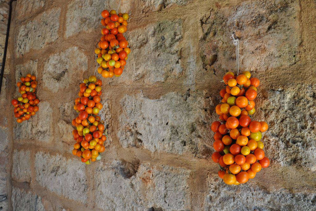 Masseria Uccio gallery - Gallery