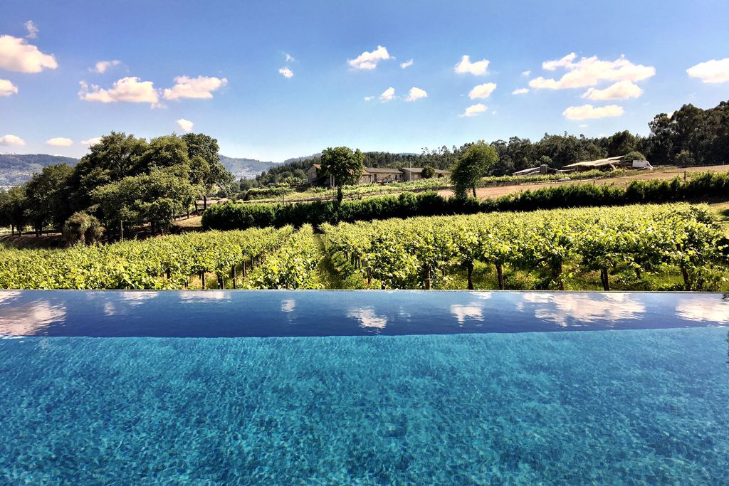 Quinta de Freixieiro gallery - Gallery