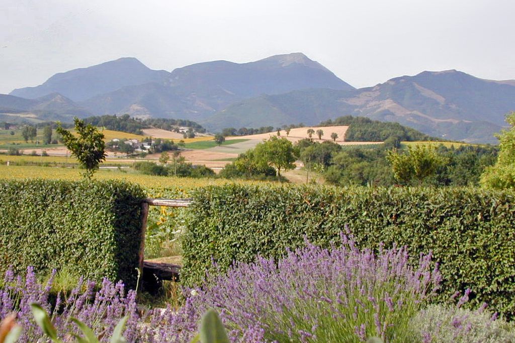 La Casetta gallery - Gallery