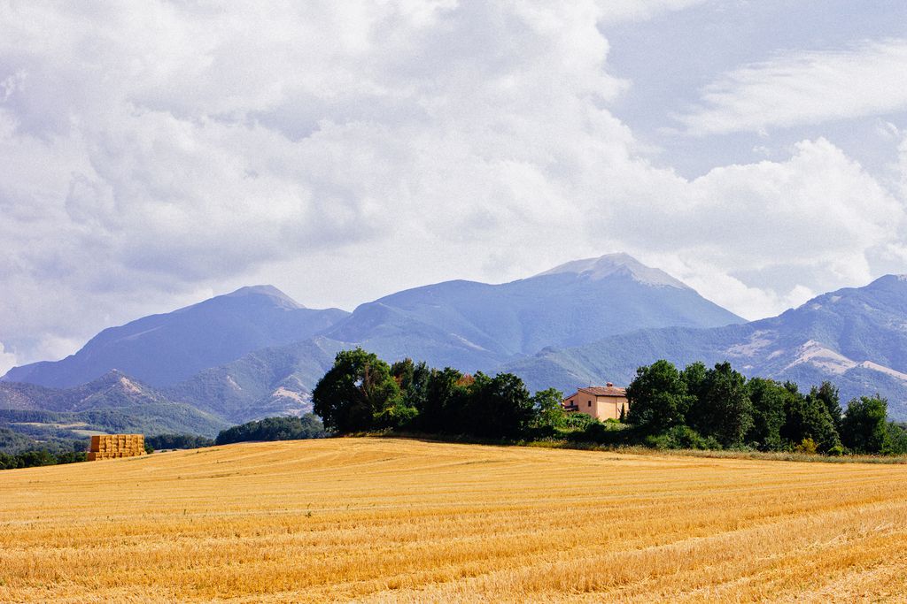 La Pieve gallery - Gallery