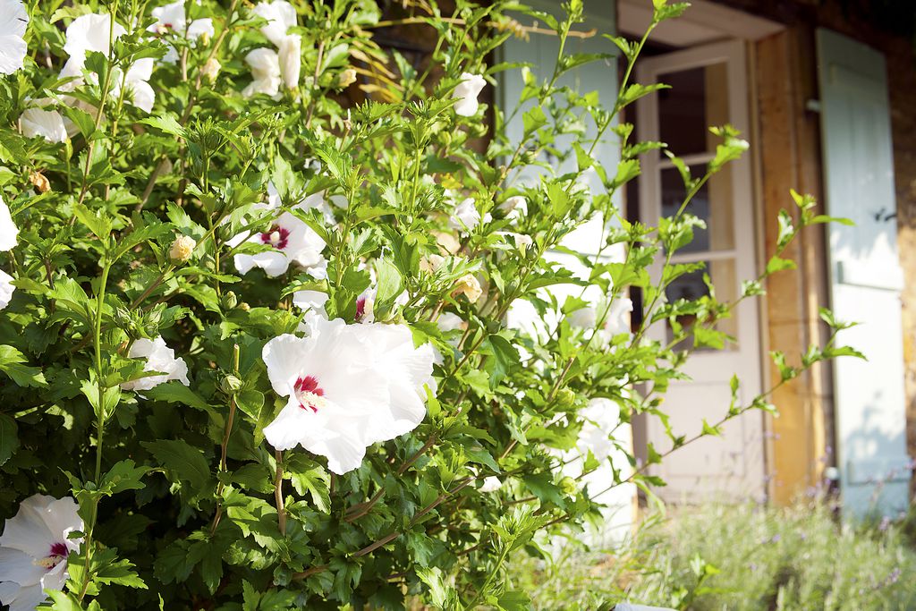 Maisons la Boissiere gallery - Gallery