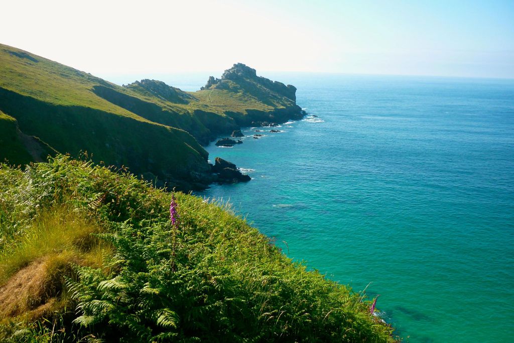 The Gurnard's Head gallery - Gallery