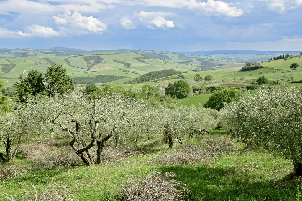 Casa la Ginestra gallery - Gallery