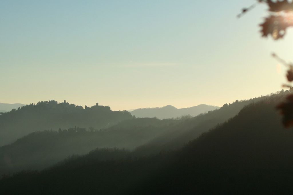L’Ariete gallery - Gallery