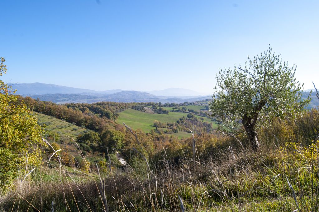 Pian di Cascina gallery - Gallery