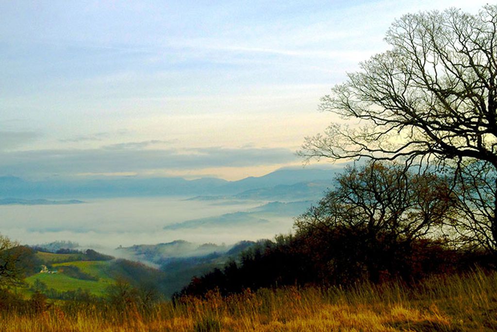 Pian di Cascina gallery - Gallery