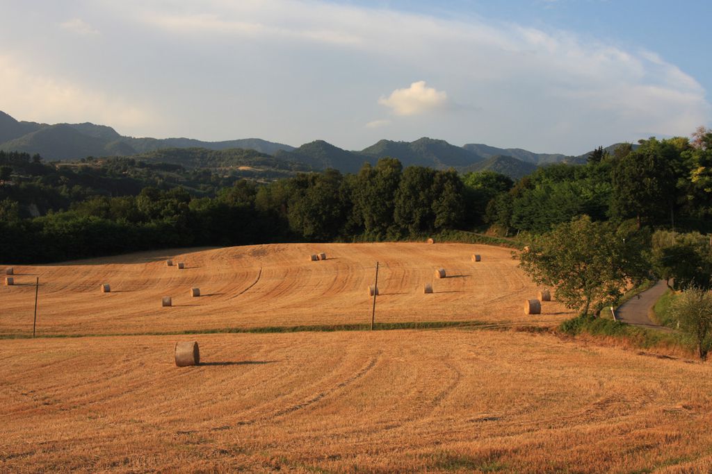 Agriturismo Fattoria I Ricci gallery - Gallery