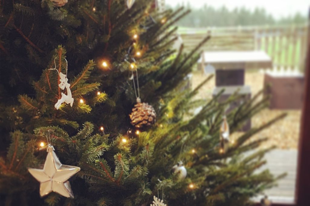 Christmas at Merlin Farm Cornwall