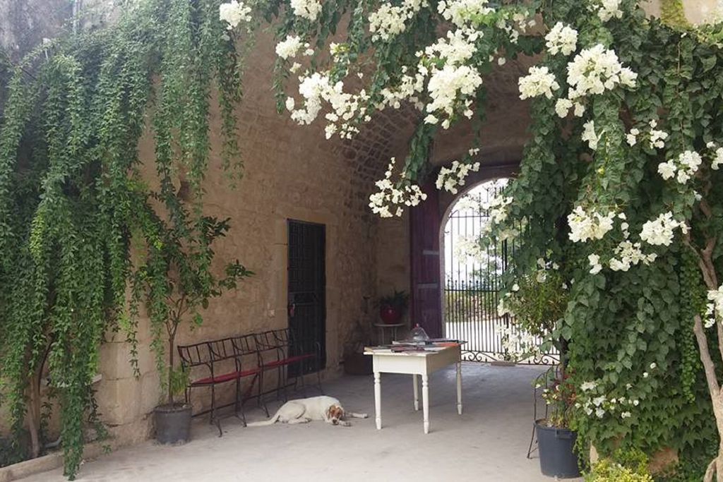 Villa Barone Alfieri gallery - Gallery