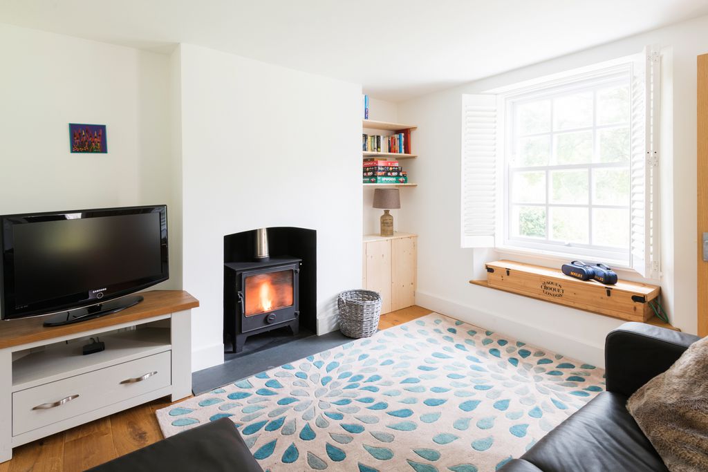 Living area with television and roaring fire