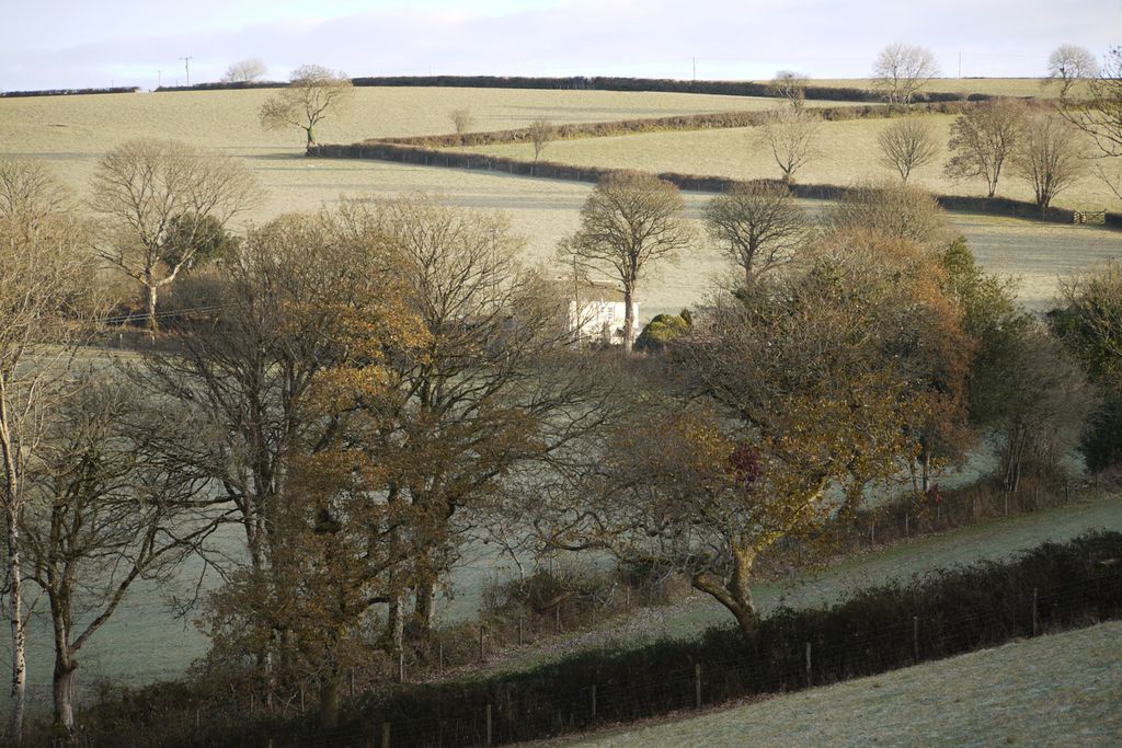 Botlet in the Cornish countryside