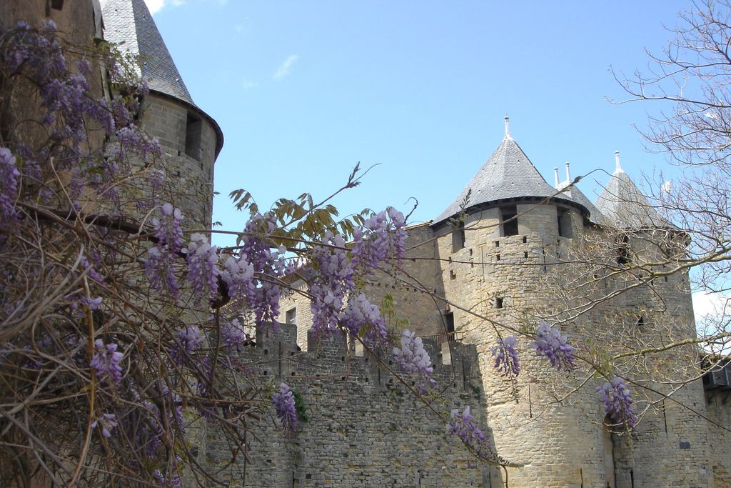 Château de Puichéric gallery - Gallery