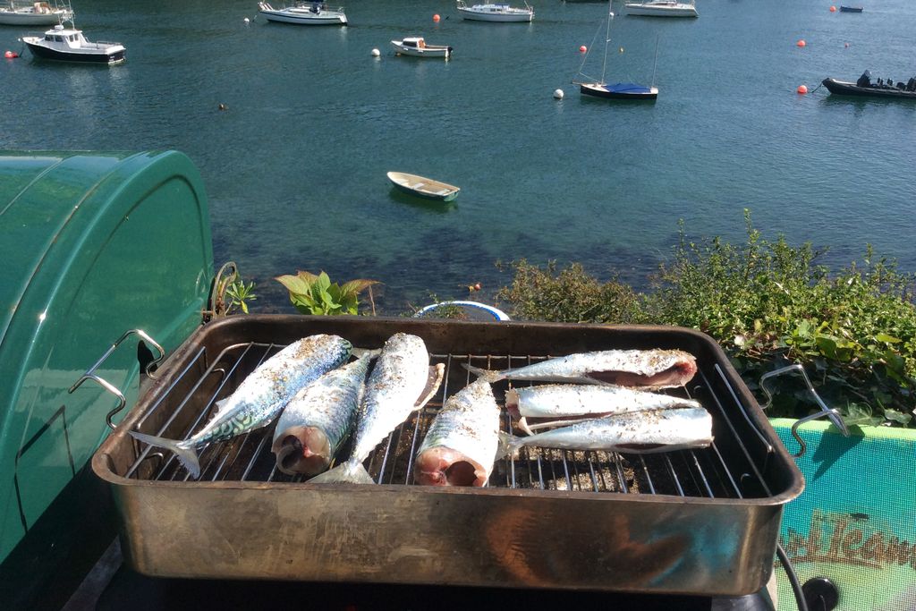 Fresh fish on the BBQ overlooking the water