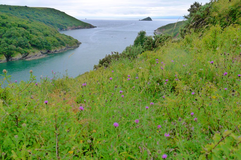 Views from the coastal cliffs out to sea