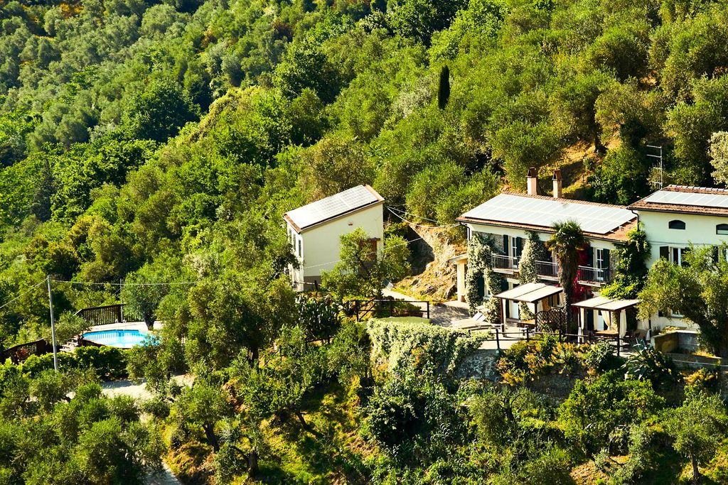 La Lucertola gallery - Gallery