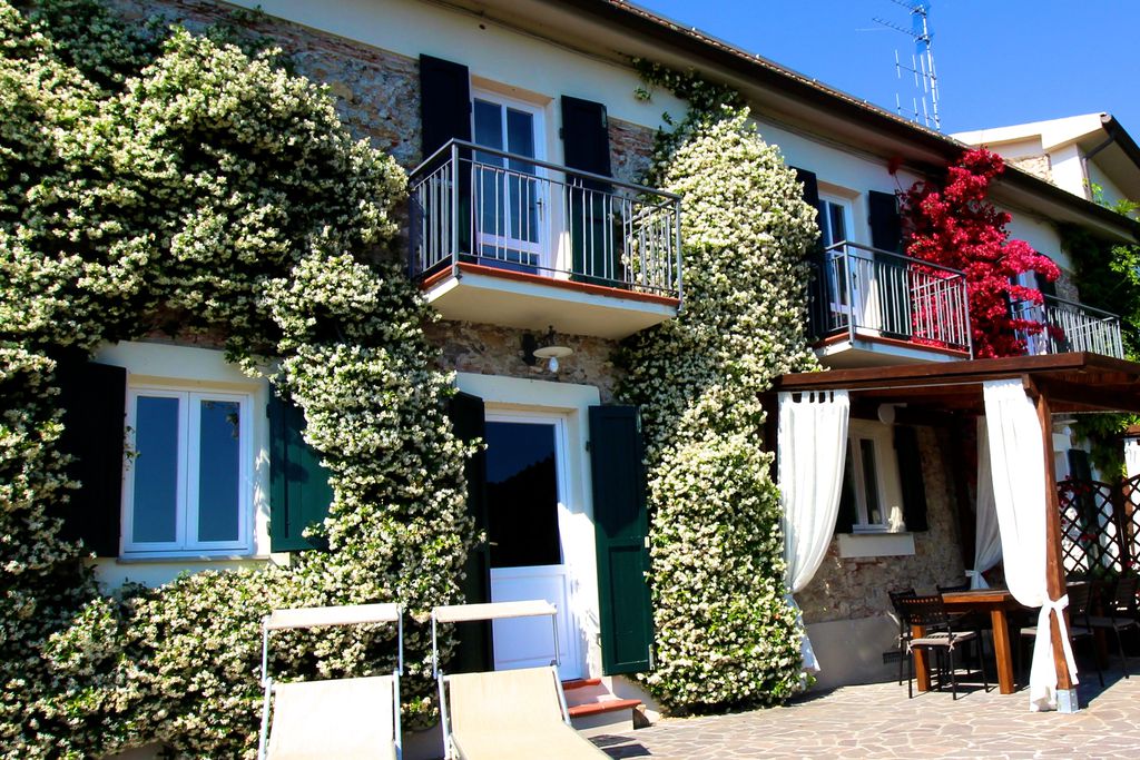 La Lucertola gallery - Gallery