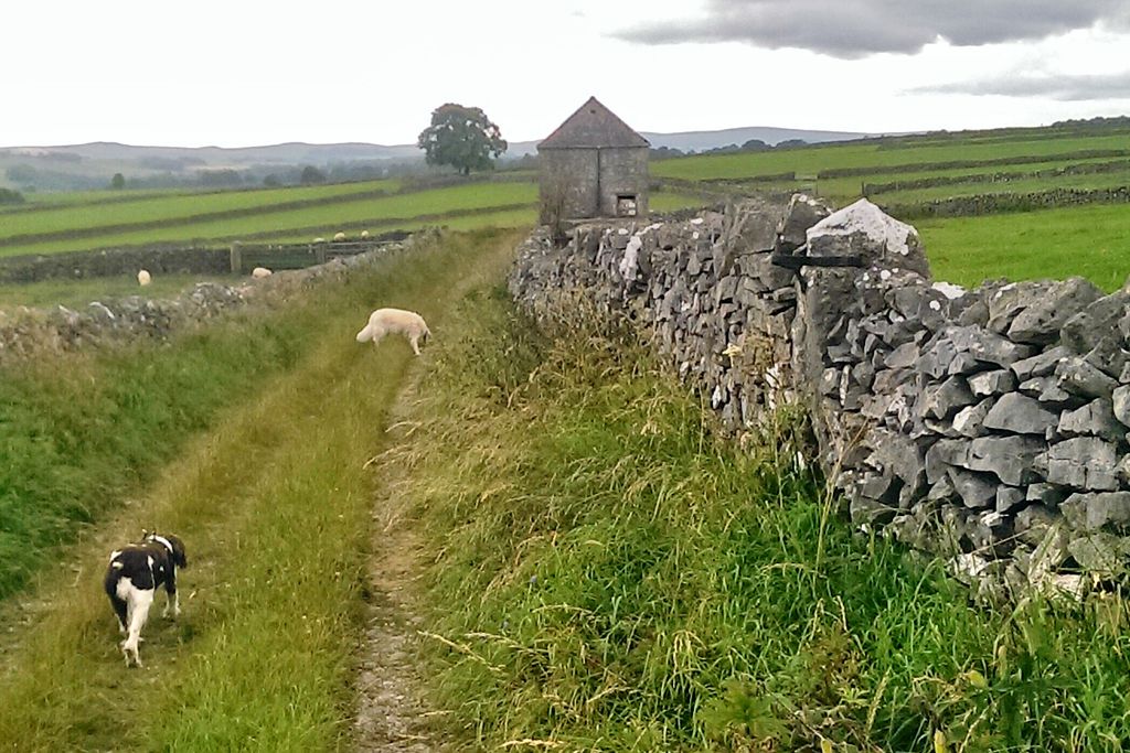Taking the dogs on a walk in Tideswell, Peak District, 5 minutes from The Corner House