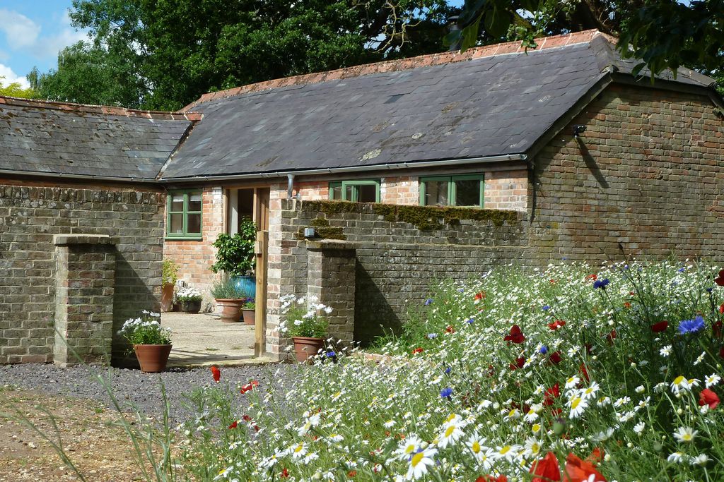 Wild flowers growing outside The Wool Store in Dorset