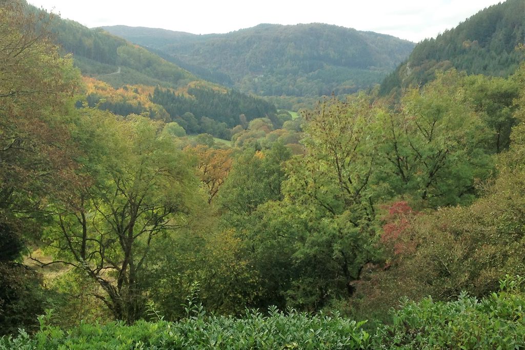 Pengwern Country House (Snowdonia) gallery - Gallery
