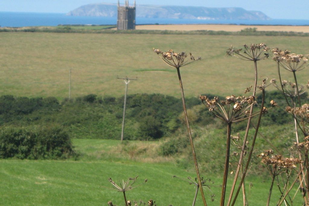 Countryside landscape in Devon