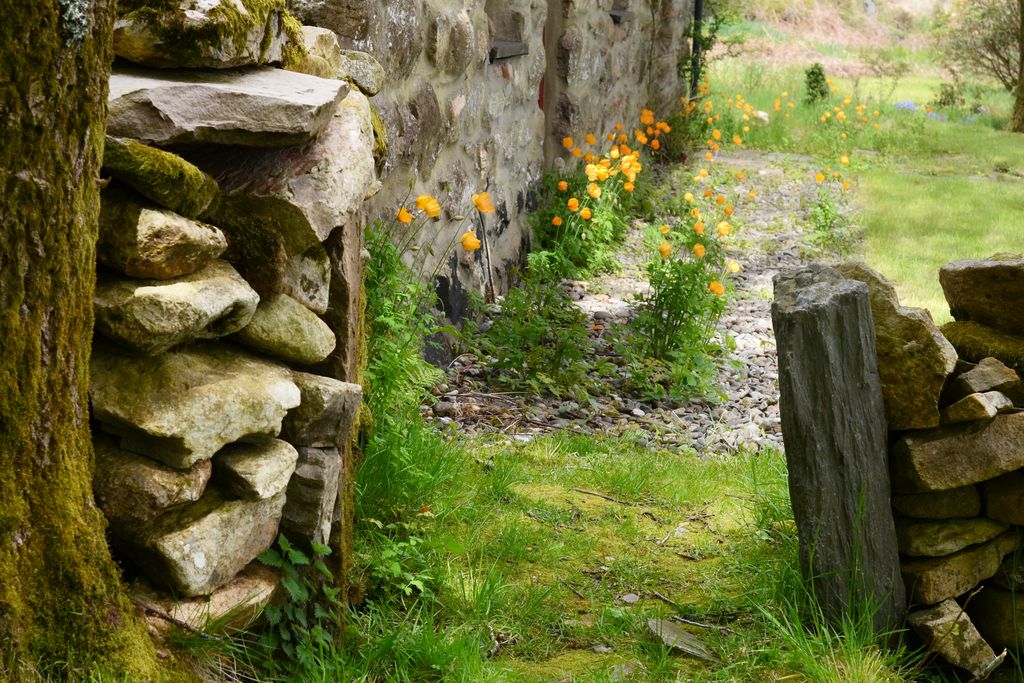 Mountain Cottage gallery - Gallery